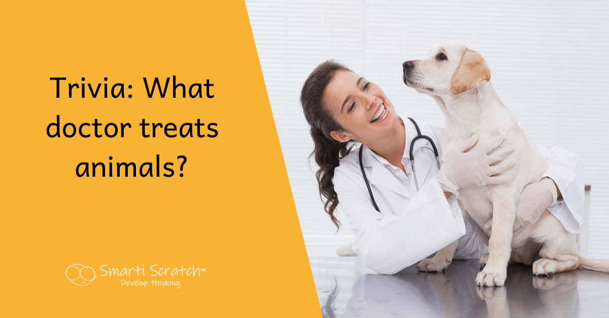 what-doctor-treats-animals-lunch-box-notes