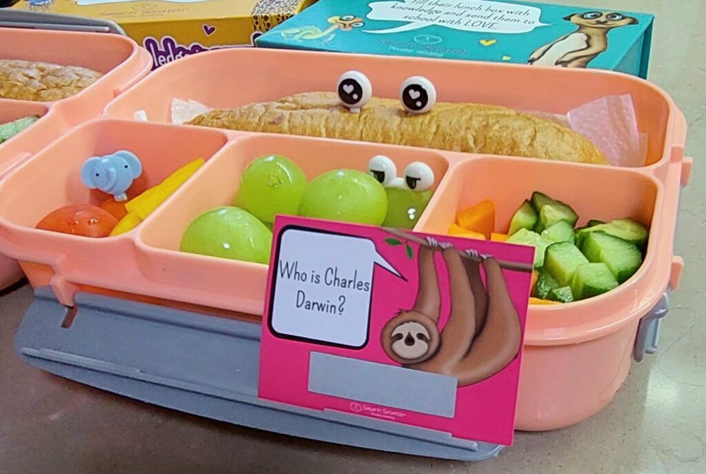 8 Best Instagram Lunch Box For Kids