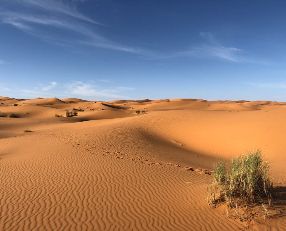 which-desert-is-the-largest-lunch-box-notes